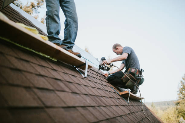 Best Local Roofing Companies  in White Cloud, MI